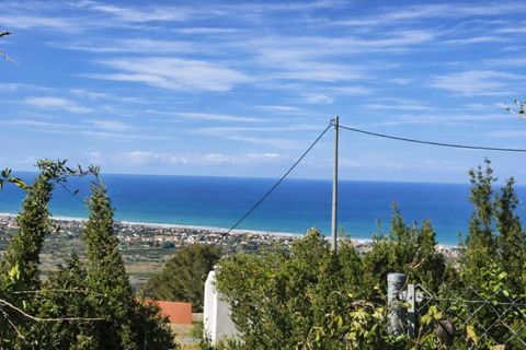 Tomt i Benimeli, Alicante, Benimeli - € 83 000 | Ref: PNPT297 - foto 31